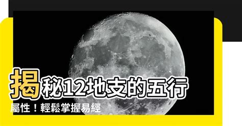 醫院 五行|【醫院 五行】揭秘醫院的五行屬性，助你事半功倍！